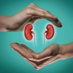 The Best Foods To Cleanse And Purify The Kidneys